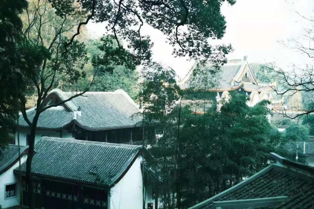 ƶš(й½)ٷվ
